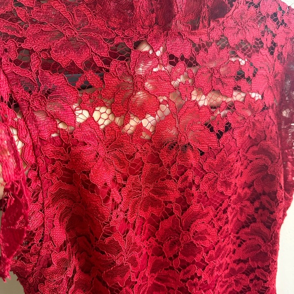 Enfocus Studio Wine Red Lined Lace Dress sz 8 Chinese Style Knee Length High Nec - Picture 4 of 4